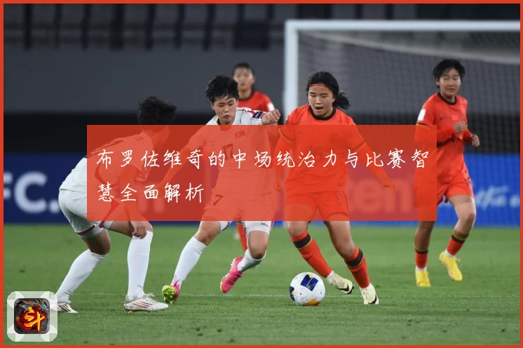 布罗佐维奇的中场统治力与比赛智慧全面解析