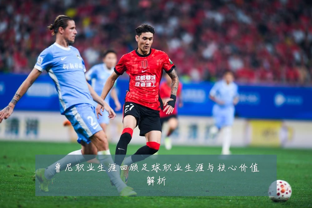 鲁尼职业生涯回顾足球职业生涯与核心价值解析